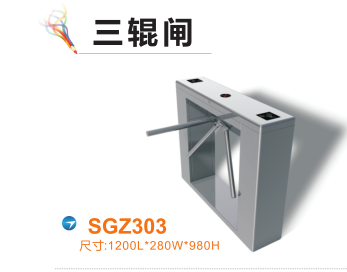 平乡县三辊闸四号